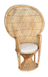 Peacock Chair 